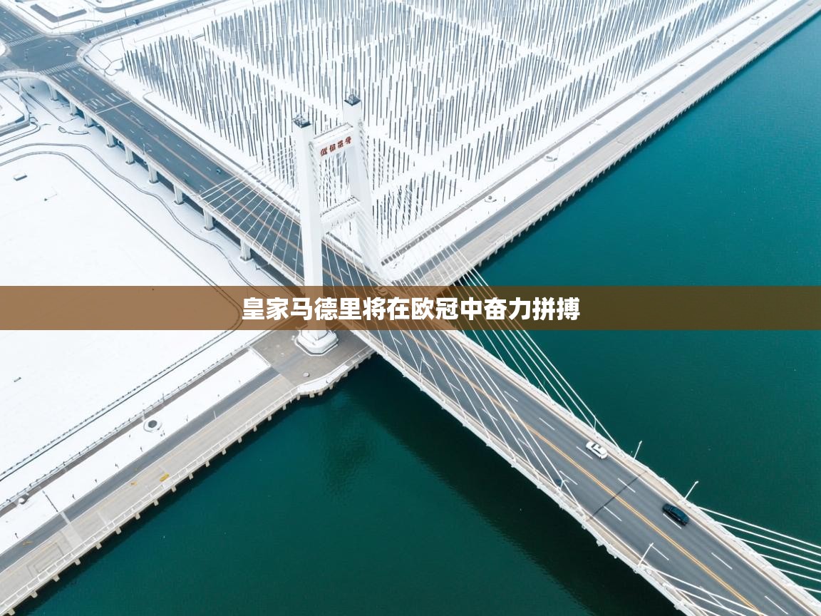 皇家马德里将在欧冠中奋力拼搏 第2张