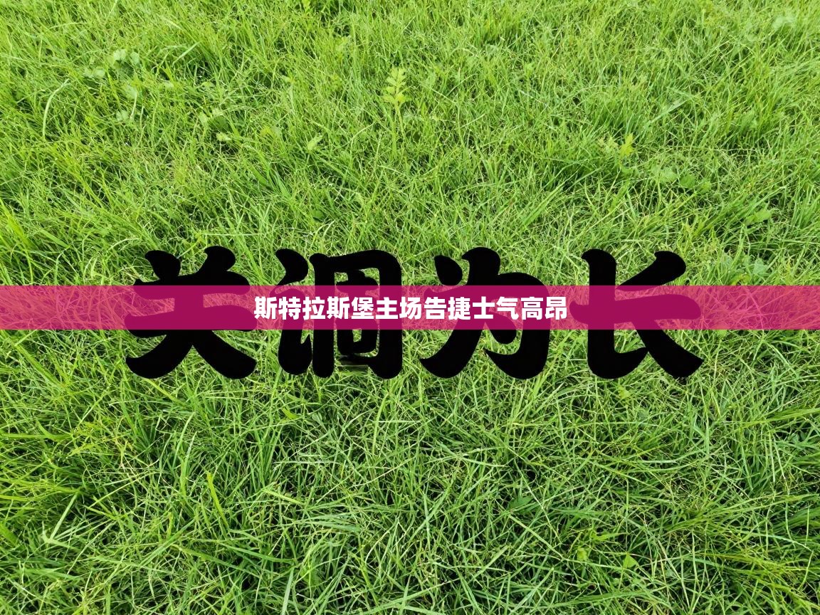 斯特拉斯堡主场告捷士气高昂  第2张